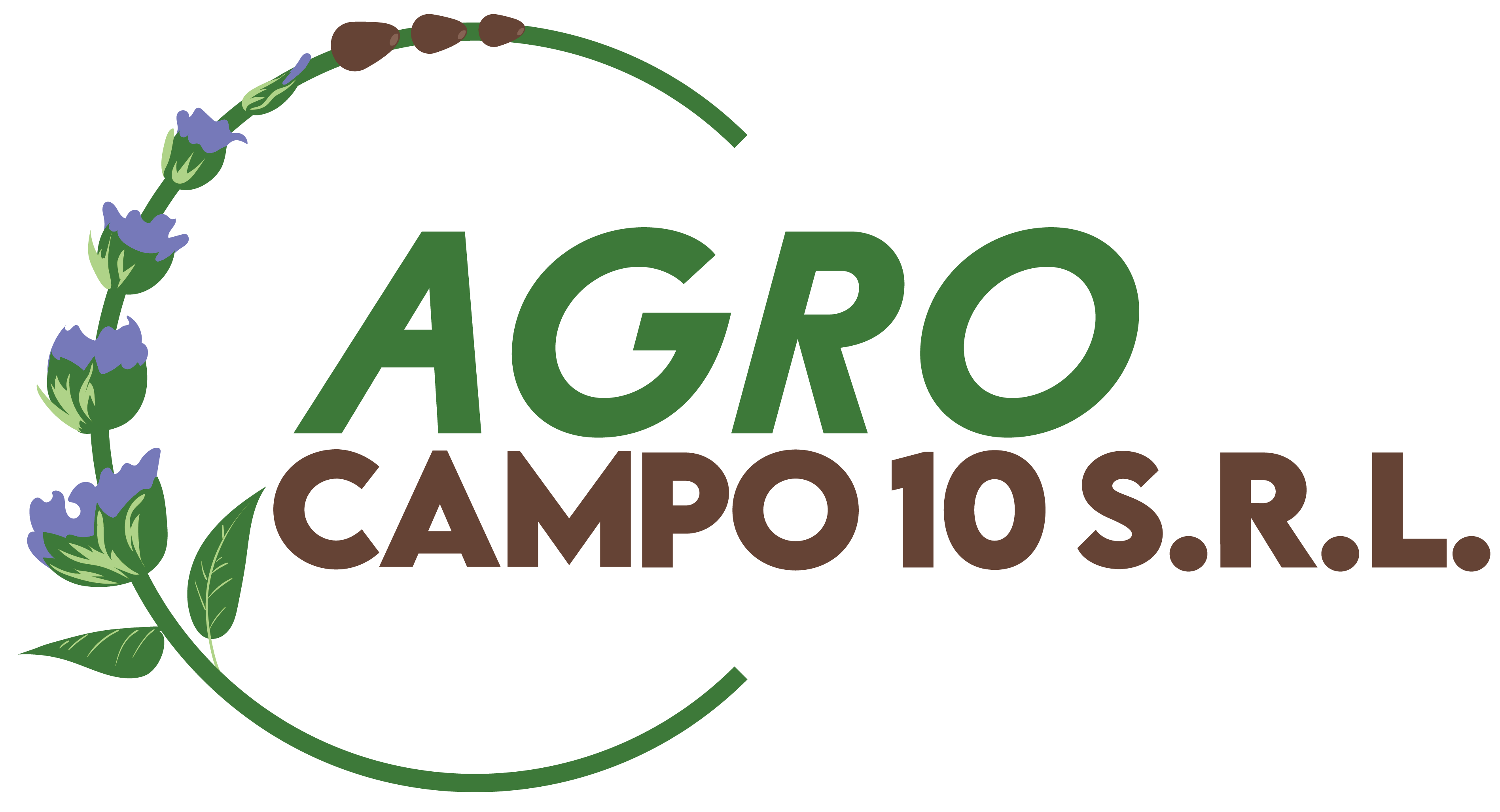 Agro Campo 10